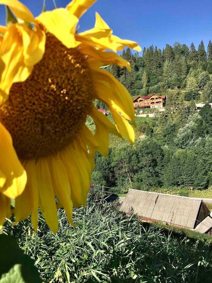 Privatna Sadiba Chalet Oryavchyk Dış mekan fotoğraf