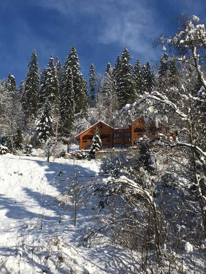 Privatna Sadiba Chalet Oryavchyk Dış mekan fotoğraf